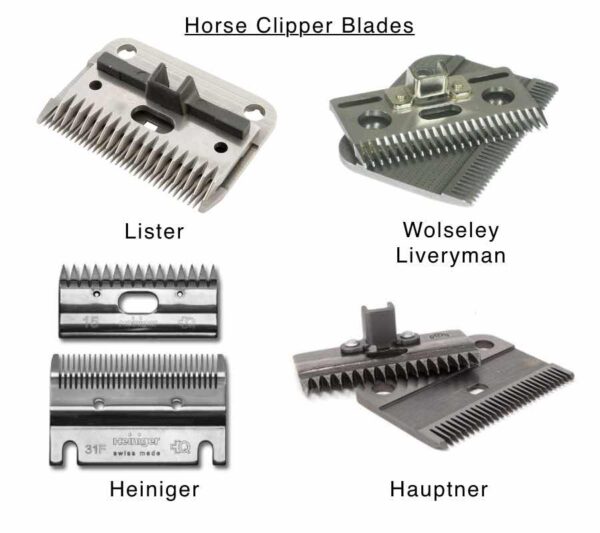 Horse Clipper Blade Sharpening - SL Service