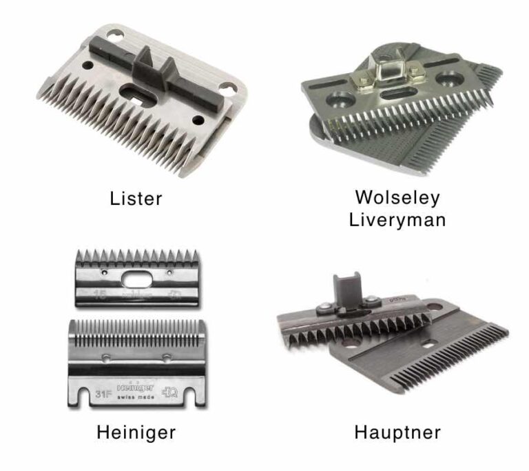 Horse Clipper Blade Sharpening