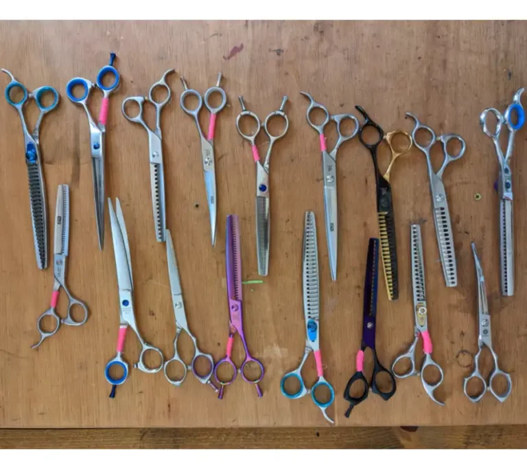 scissor-sharpening-sl-service