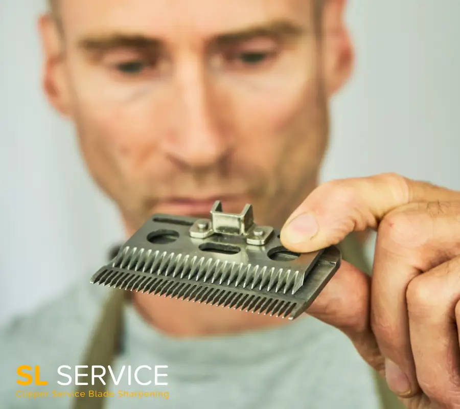 SL Service - Clipper Blade Sharpening